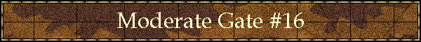 Moderate Gate #16